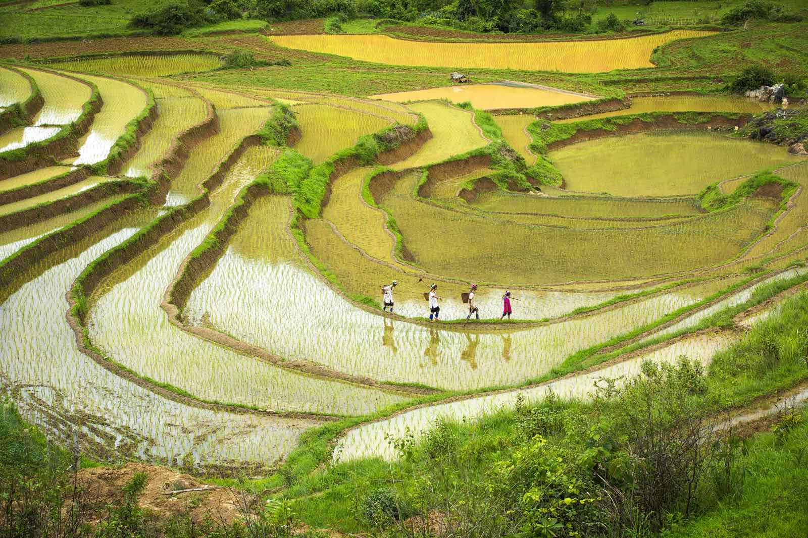 分類: 當地文化與節慶