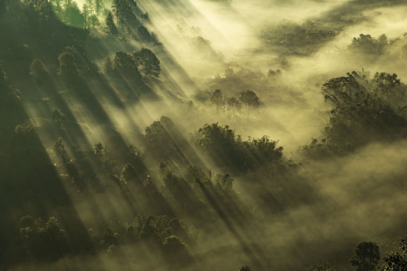 Ren Japanese Restaurant｜仰光裡的日式小聚