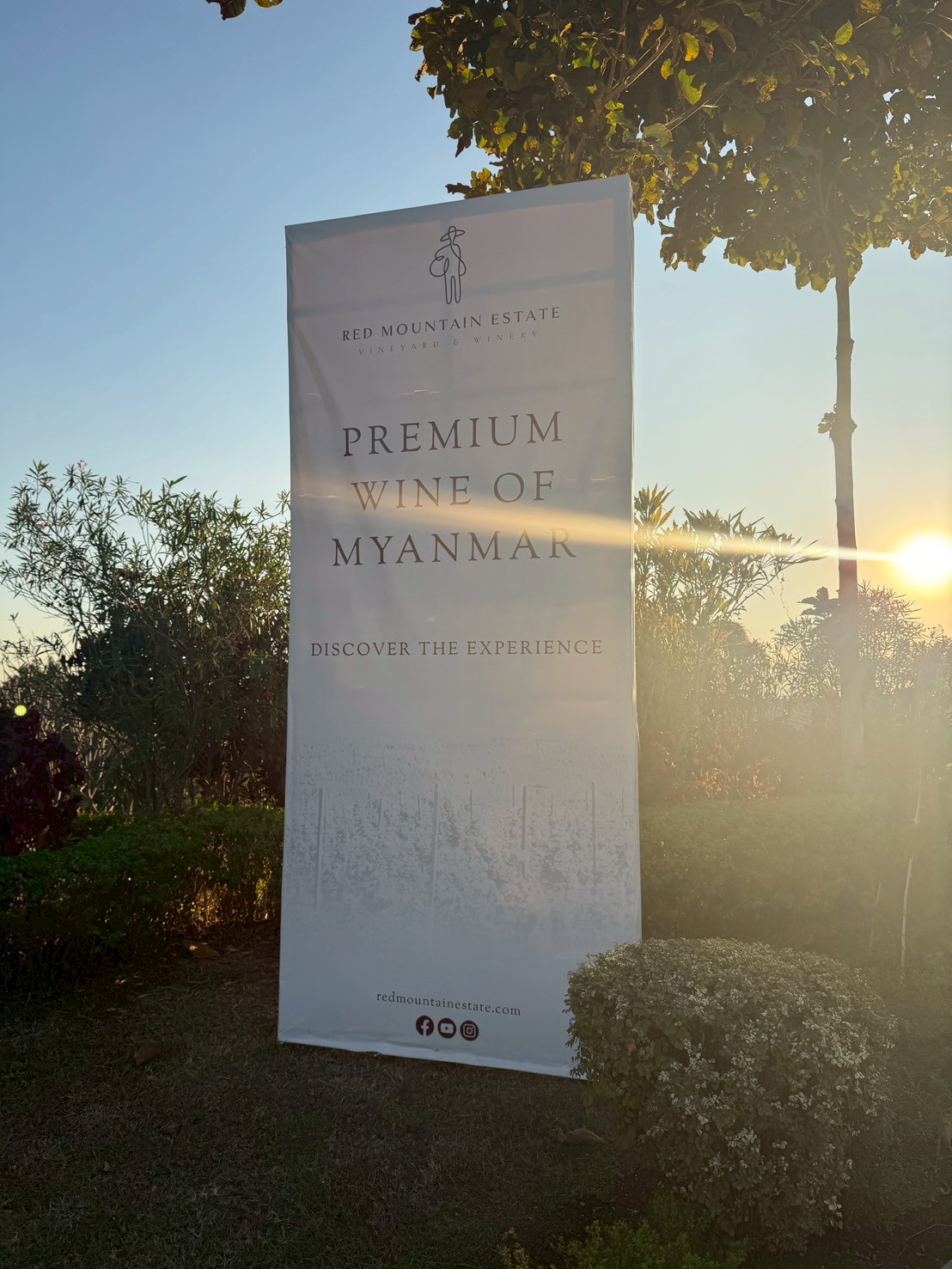 Red Mountain Estate Vineyard & Winery｜在撣邦葡萄園看日落、喝一杯緬甸紅酒